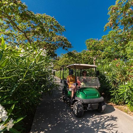 Camping La Pinede Enchantee Argelès-sur-Mer Eksteriør billede