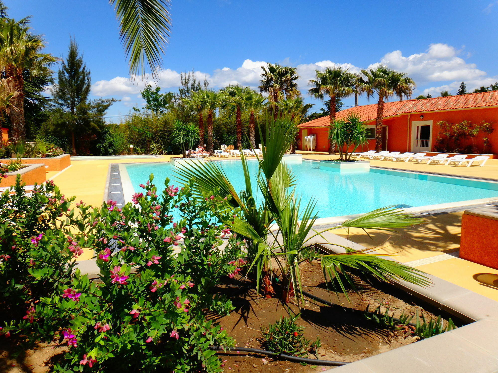 Camping La Pinede Enchantee Argelès-sur-Mer Eksteriør billede