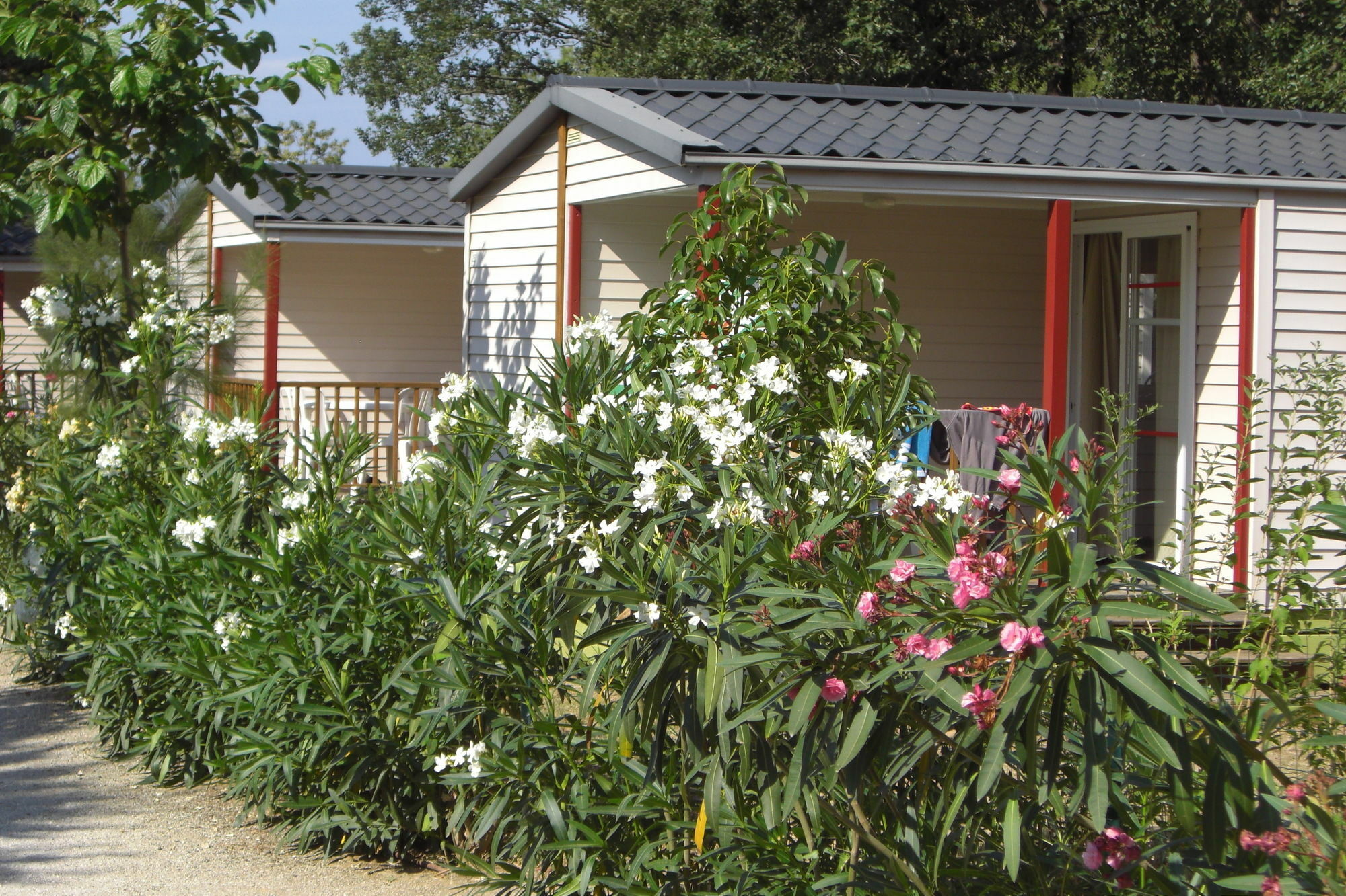 Camping La Pinede Enchantee Argelès-sur-Mer Eksteriør billede